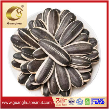 2021 New Crop Best Quality Sunflower Seeds